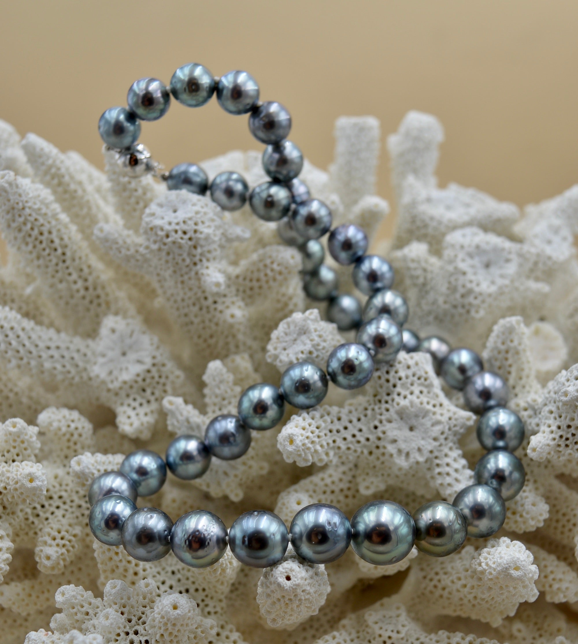Collection Tahiti Nui perles rondes de 9mm a 11.8mm